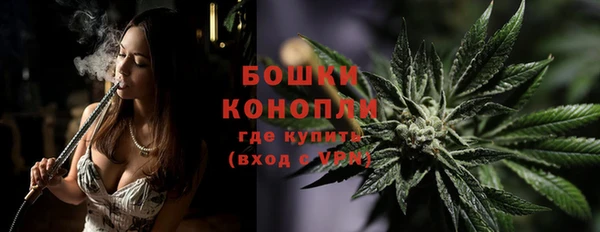 соль ск Ступино