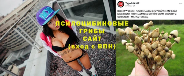 мет Тавда