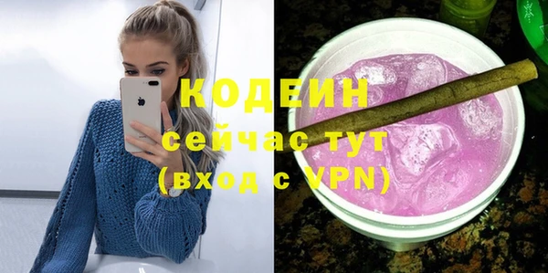 индика Тайга