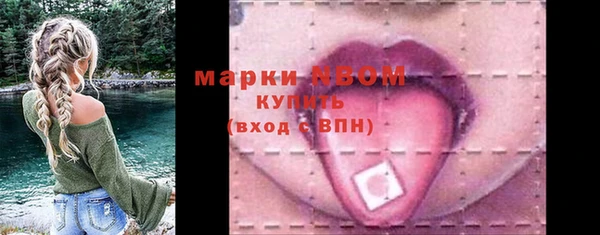 индика Тайга