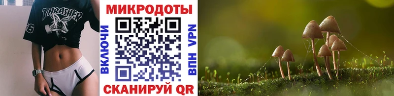 Псилоцибиновые грибы Cubensis  Буинск 